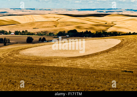 Le dolci colline del Walla Walla valley, Eastern Washington STATI UNITI D'AMERICA Foto Stock