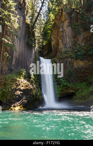 Bella Toketee Falls in Oregon, foto scattata su un luminoso giorno chiaro con colori brillanti Foto Stock