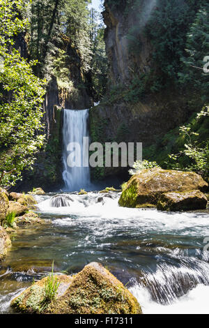 Bella Toketee Falls in Oregon, foto scattata su un luminoso giorno chiaro con colori brillanti Foto Stock