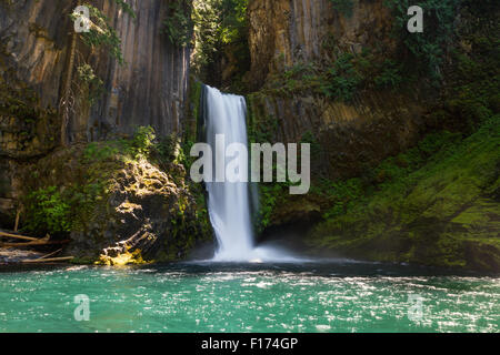 Bella Toketee Falls in Oregon, foto scattata su un luminoso giorno chiaro con colori brillanti Foto Stock