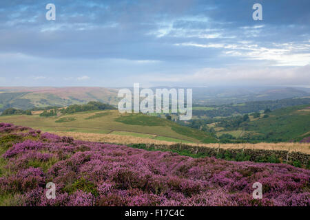 Hathersage, Peak District, Derbyshire, Regno Unito: 29 agosto 2015.vedute Hope Valley e Hathersage in una fresca misty per iniziare la giornata . Credito: IFIMAGE/Alamy Live News Foto Stock