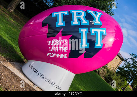 Twickenham Casa del Rugby, London, England, Regno Unito Foto Stock