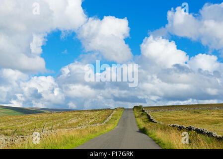 Strada vicino a Garrigil, North Pennines, Cumbria, England Regno Unito Foto Stock