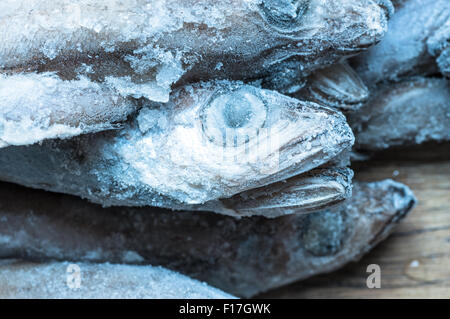 Smerigliati mazzetto tilapia testa di pesce Foto Stock