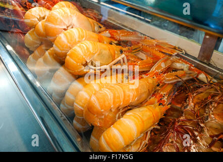 Cigalas, scampo, la baia di Dublino boreale, langoustine o scampi, sul display a seafood bar in Torremolinos. Andalusia, Spagna. Foto Stock