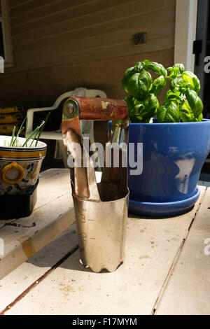 Lampadina attrezzo piantatrice con vaso di ceramica e basilico dietro il tavolo di legno. Foto Stock