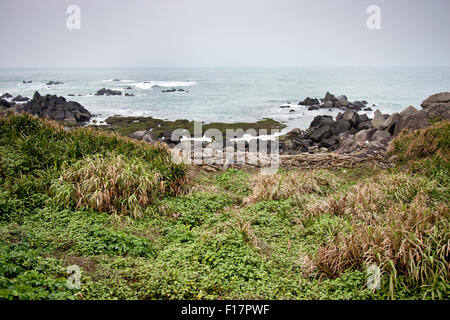 Meraviglioso paesaggio di rocce e oceano e piante in Taiwan Foto Stock