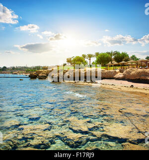 Le barriere coralline sulla spiaggia vicino a hotel Foto Stock