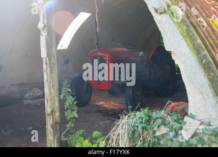 Vintage trattore Massey Ferguson in un vecchio anderson shelter tipo Barn Foto Stock