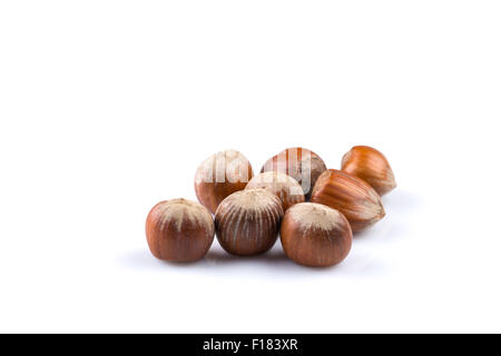 Le nocciole noci nocciole isolati su sfondo bianco Foto Stock