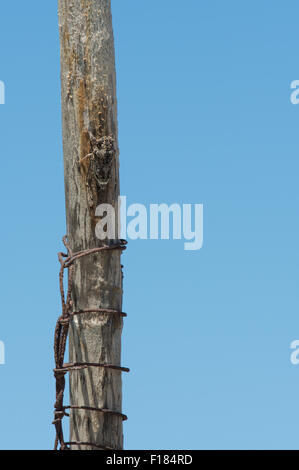 Grilli sul post, impianti Foto Stock