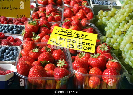 Le fragole, il mercato degli agricoltori, Kaiserslautern, Germania. Foto Stock