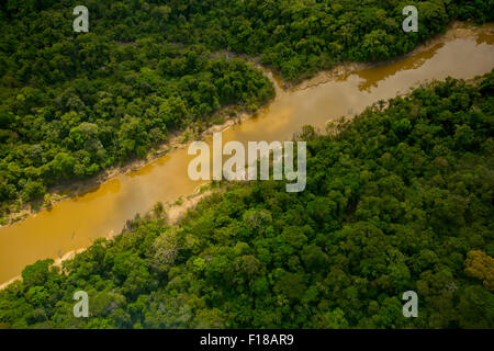 La foresta pluviale amazzonica antenna. Foresta primaria, Yavari Miri River, tra Iquitos, Perù e brasiliano confine Foto Stock