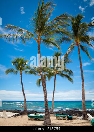 Una vista di palme da cocco e Pauoa Bay presso il Fairmont Orchid, un hotel di lusso sulla Costa Kohala della Hawai'i (Hawaii) Isola. Foto Stock