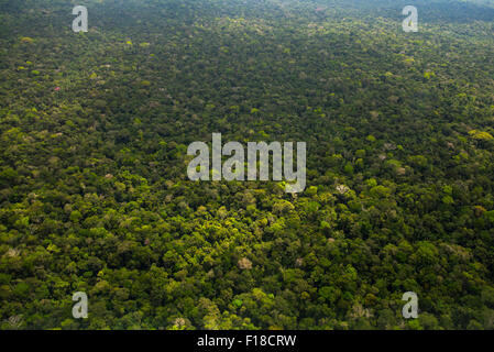 La foresta pluviale amazzonica antenna. Foresta primaria tra Iquitos, Perù e brasiliano confine Foto Stock