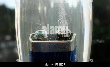 Una batteria da 9 V è immerso in un bicchiere di acqua di lavaggio con soda. Il gas idrogeno viene formata in corrispondenza del polo negativo. Foto Stock