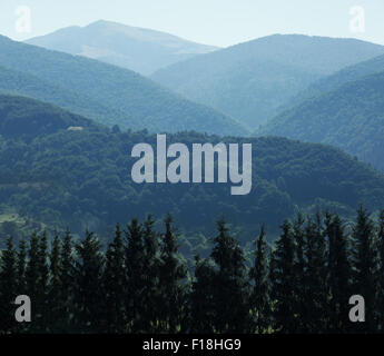 Le montagne dei Carpazi. Foto Stock