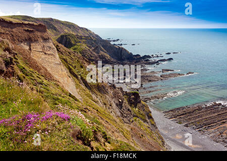 La vista dalla costa sud-ovest il percorso nei pressi di Hartland Quay, North Devon, Inghilterra, Regno Unito Foto Stock