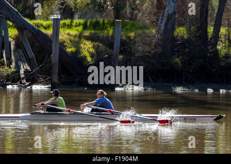 Due donne canottaggio un doppio teschio sul fiume Murray, Australia. Foto Stock