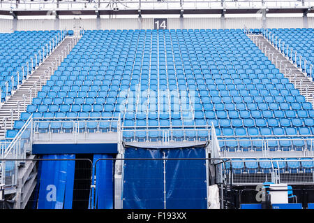 File di sedili blu in uno stadio Foto Stock