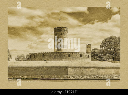 Vista sulla Martwa fiume Wisla alla fortezza Wisloujscie, situato a Danzica, vicino a Westerplatte, Pomerania, Polonia, Europa Foto Stock