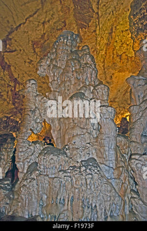 Postojnska jama, Grotte di Postumia; Slovenia, Europa Foto Stock