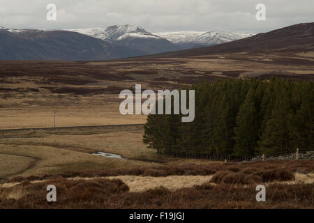 Attraverso Cataro Mor a Creag na Doire Duibhe,Highland,Scozia,UK, Foto Stock