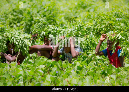Isole Salomone, Makira-Ulawa Provincia, Owaraha aka Santa Ana, locale i ragazzi cercano riparo dal sole in modo creativo. Foto Stock