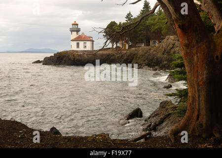 Una tempesta è la produzione di birra come questa forte Madrona telai ad albero fornace di calce faro di San Juan Island, Washington Foto Stock