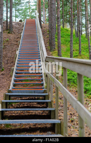 Verso l'alto scala con ringhiera in legno di conifere, parte del sentiero escursionistico Foto Stock