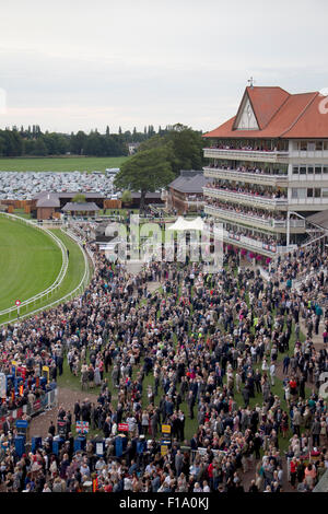 York gare Estate 2015 Foto Stock