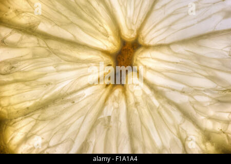 Frutta limone sezione fetta fette isolata contro sfondo bianco che mostra segni di decadimento funghi hyphae penicillina Foto Stock