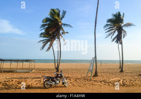 Palme e una moto sulla costa del Benin a Ouidah Foto Stock