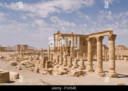 Palmyra, Siria - II secolo le rovine romane. UNESCO - Sito Patrimonio dell'umanità. Credito Jo Whitworth Foto Stock