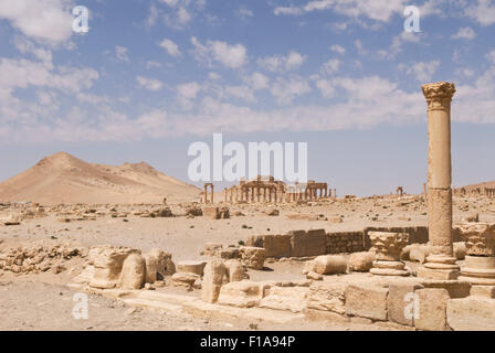 Palmyra, Siria - II secolo le rovine romane. UNESCO - Sito Patrimonio dell'umanità. Credito Jo Whitworth Foto Stock