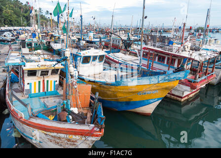 Porto di pescatori, Mirissa, Sri Lanka Foto Stock