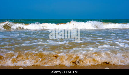 Colpo di una onda rottura lungo la spiaggia. Foto Stock