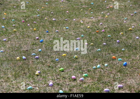 Settore delle uova di Pasqua. Foto Stock