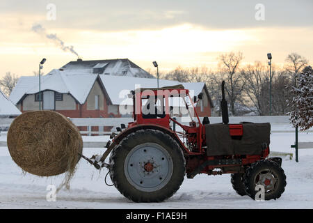 Koenigs Wusterhausen, Germania, paglia balla viene trasportata con un trattore Foto Stock