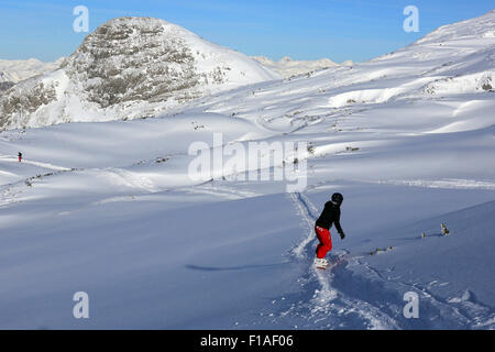 Krippenbrunn, Austria, un ragazzo lo snowboard nella neve profonda Foto Stock