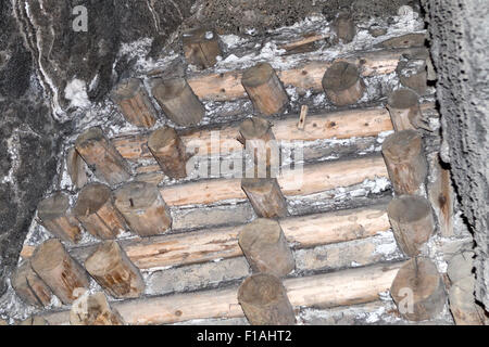 Damilowicza Shaft, (Szyd Damilowicza), miniera di sale di Wieliczka, Kopalnia soli, vicino a Cracovia, Polonia Foto Stock