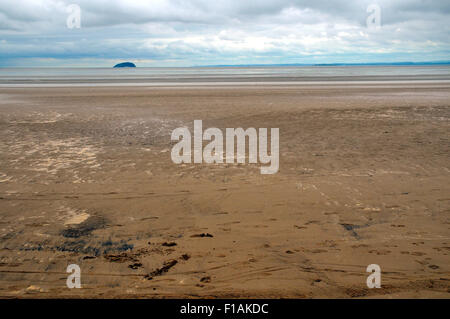 Weston Super Mare, Regno Unito. Il 31 agosto, 2015. Le nuvole mettere i turisti visitano off Weston Super Mare spiaggia. Credito: Andrew Compton/Alamy Live News Foto Stock