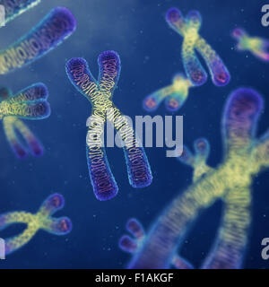 I cromosomi , ingegneria genetica Foto Stock