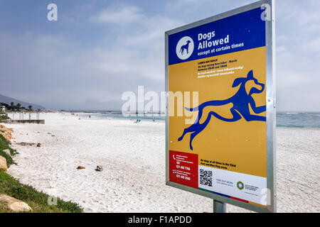 Città del Capo Sud Africa, Camps Bay, Victoria Road, spiaggia pubblica, cartello, cani ammessi, codice QR codice a barre, Oceano Atlantico, SAfri150312035 Foto Stock