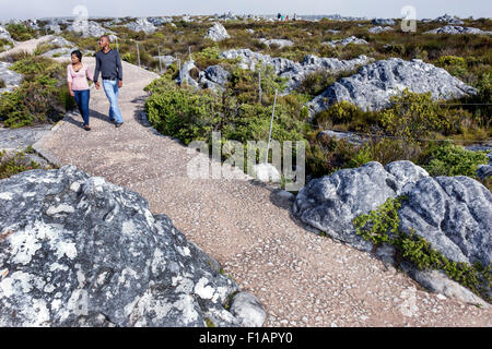 Città del Capo Sud Africa,Table Mountain National Park,riserva naturale,top,escursioni,sentiero,escursionisti,escursioni,Black Afro American,uomo uomini maschio,donna donne, Foto Stock