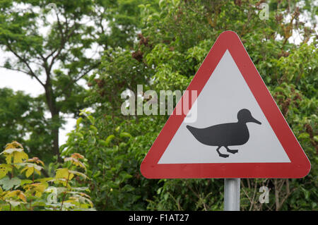 Classic British cartello stradale avvisa i conducenti sulle anatre attraversando la strada, nel Dorset villaggio di Portesham. Inghilterra, Regno Unito. Foto Stock