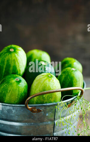 Cetrioli freschi Foto Stock