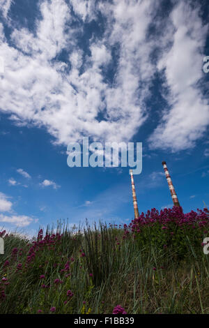 Il twin ciminiere di Poolbeg di generazione di elettricità sulla stazione di Dublins parete nord, Dublino, Irlanda. Foto Stock