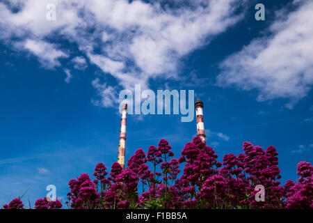 Il twin ciminiere di Poolbeg di generazione di elettricità sulla stazione di Dublins parete nord, Dublino, Irlanda. Foto Stock