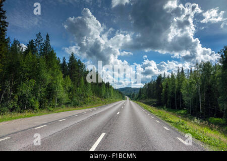 Strada con la linea bianca scomparendo in lontananza attraverso la foresta Foto Stock